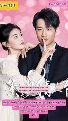 Sinopsis Drama China Miss Dong Spends Valentines Day every Day