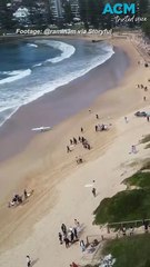 Man dies after being bitten by a shark in Sydney’s Northern Beaches