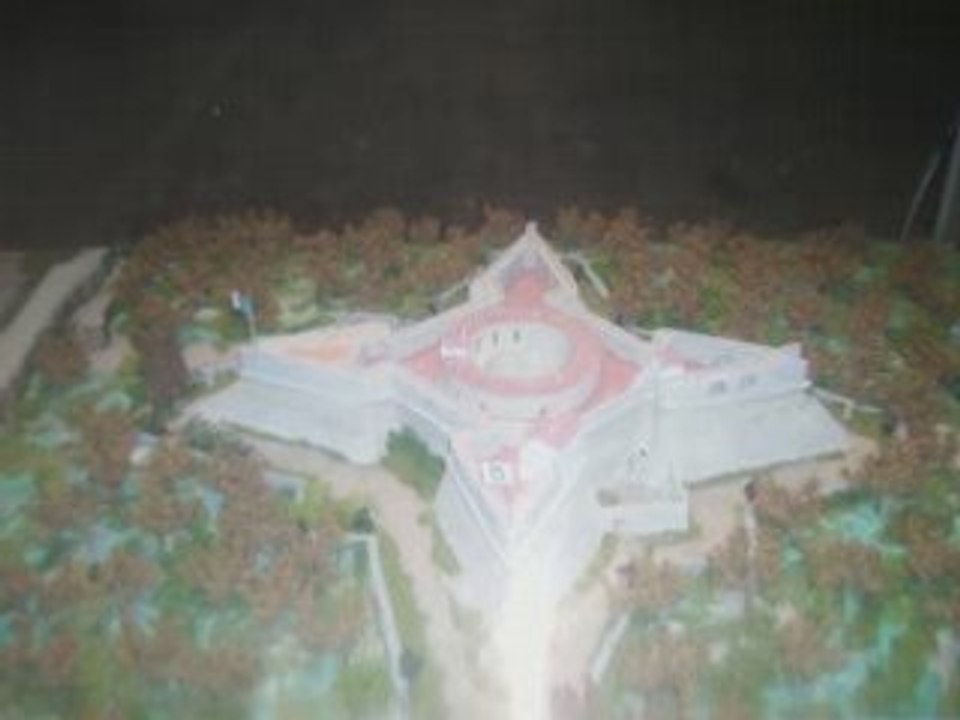 Fort carre