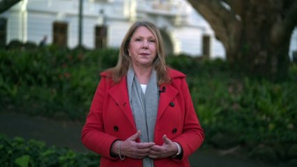 Federal transport minister announces public consultation on airline experience