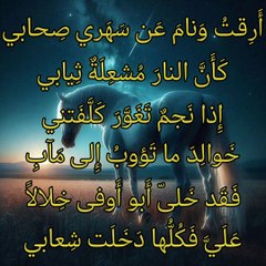 أرقت و نام عن سهري صحابي   ،    الخنساء