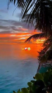 Witness the day's final kiss. Enjoy a moment of calm with this beautiful sunset video.