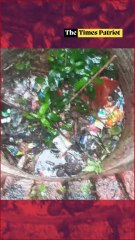 Married Woman and Teen Lover Kill 6-Year-Old to Hide Their Affair After She Catches Them