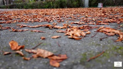 Seniors Over 60—Do Not Neglect Your Feet Protect Balance and Mobility