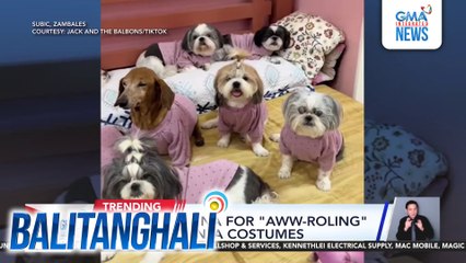 7 aso, ready na for "aww-roling" suot ang Santa costumes | Balitanghali