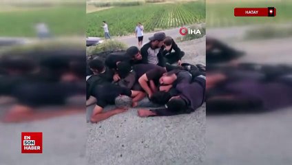 Hatay'da koyun sürüsüne çarpan insan kaçakçısı aracı ve göçmenleri bırakıp kaçtı