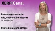 Le manager mouette : cris, chaos et inefficacité [Isabelle Barth]