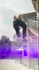 The Love Protection Strategy | Chinese Drama with English Subtitles 🎬