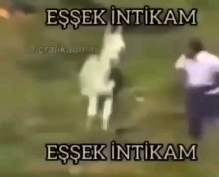 Eşşek İntikam