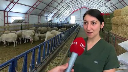 Devlet desteği sayesinde hayallerine kavuşup 30 yaşında kendi işinin patronu oldu