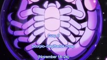 🌟 9.Scorpio–Sagittarius  November 18–24 Did you know you can be born on the cusp of two zodiac signs?