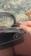 This is a joke btw, she invited us all over for lunch