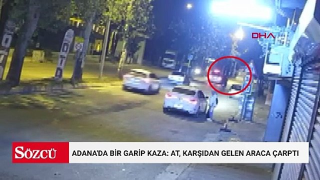 Adana'da bir garip kaza: At, karşıdan gelen araca çarptı