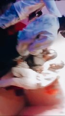 LET ME KNOW by MIC IYKE is trending now don't miss out #letmeknow #miciykeofficial #fyp