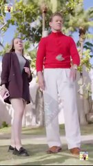 Renacer para Amar al Sr. Perfecto En Español