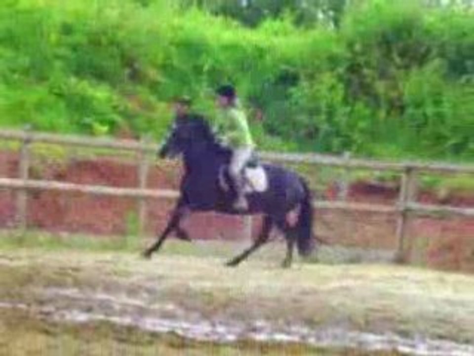 tout le monde au galop
