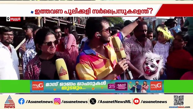 ആവേശമായി നായ്ക്കനാലിലെ വൻപുലി; 150 കിലോ ഭാരമുള്ള രാകേഷാണ് ഇത്തവണത്തെ ഏറ്റവും വലിയ പുലി