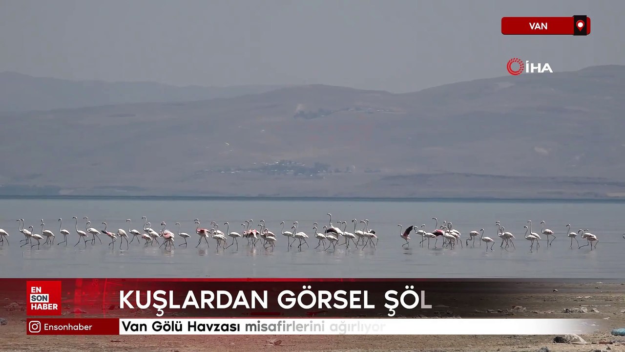 Van Gölü Havzası misafirlerini ağırlıyor