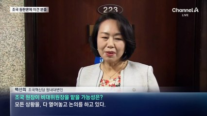 조국, 이틀째 침묵 이어가…등판론에 이견 분출