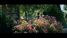 送