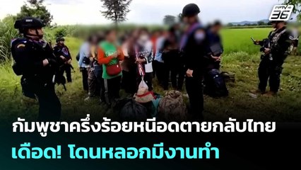กัมพูชาครึ่งร้อยหนีอดตายกลับไทย เดือด! โดนหลอกมีงานทำ | เข้มข่าวค่ำ | 8 ก.ย. 68