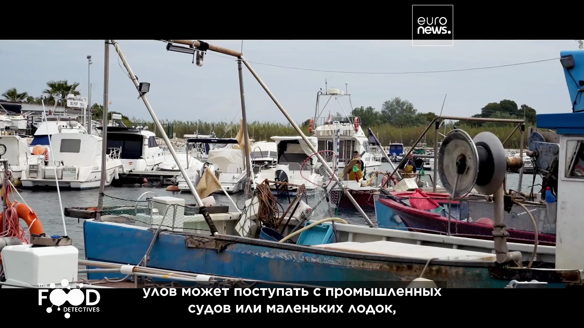 ⁣Способны ли мы бороться с мошенничеством в сфере рыболовства?
