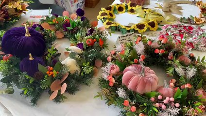 Exciting Highlights of Herrington Village Show 2025 🎉