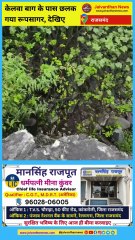 Copy of White Simple Clean Motivational Quotes Instagram Reel Video (3)