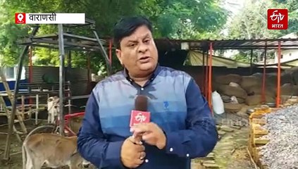 बनारस के सुनील हैं बेजुबानों के मसीहा; 30 साल में 2000 से अधिक जानवरों की बचाई जान, 14 साल की उम्र से कर रहे सेवा