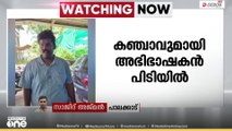 അരക്കിലോ കഞ്ചാവുമായി പാലക്കാട്‌ പുതുനഗരത്ത് ജില്ലാ കോടതി അഭിഭാഷകൻ പിടിയിൽ