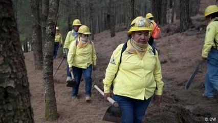 Brigada 031: las mujeres combatientes del fuego en los bosques de México