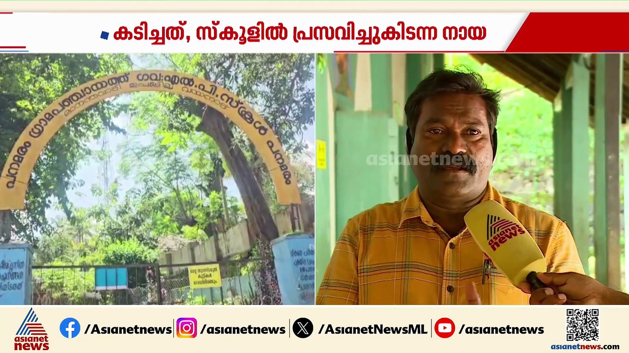 സ്കൂളിൽ പ്രസവിച്ചു കിടന്ന തെരുവുനായ വിദ്യാർത്ഥി...