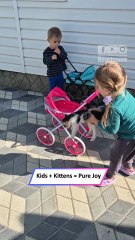 Kids Meet Abandoned Kittens | Adorable Vacation Friendship Moments 🐾💖