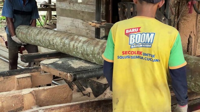 5x7 Coconut Wood Cutting Techniques to Make it Neater with a Sawmill