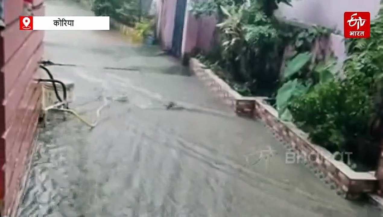 कोरिया में भारी बारिश से बाढ़ के हालात, सड़कों पर पेड़ गिरे, लोगों ने खुद की पहल