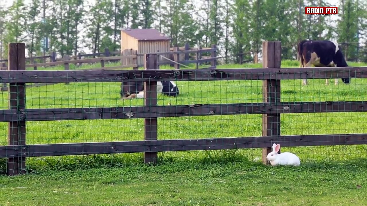 Marcus Schröder - Mitternacht in der Stadt Borna (Trilogie Song)