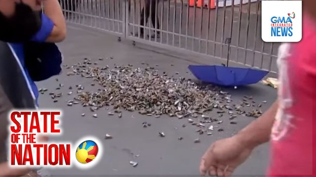 DPWH Navotas, binato ng mga bulok na tahong | SONA