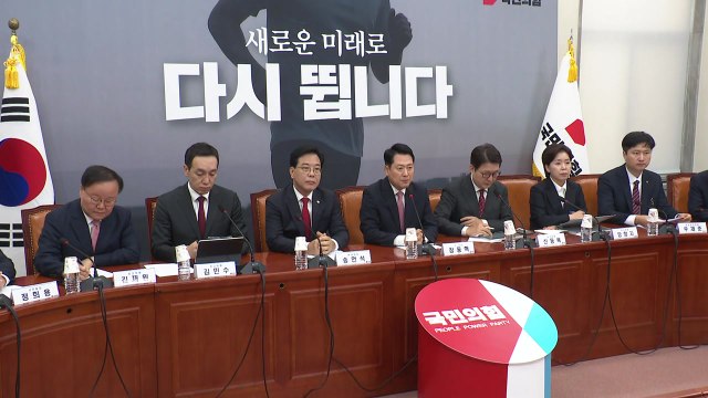 국민의힘 안전 귀국, 성과 아닌 필요 최소...근본 대책 수립해야 / YTN