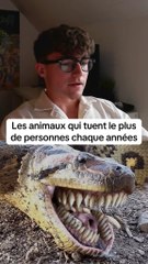 Les animaux qui tuent le plus de personnes chaque années #classement #quiz #pays #animaux