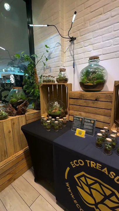New craft retailer opens in Queensgate