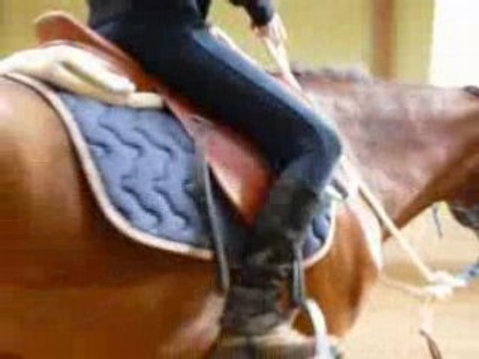 Séance montée en etho avec flipp !