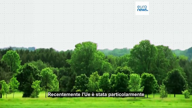 Gli incendi del 2025 hanno devastato un'area grande quasi la metà della Sicilia: questi Paesi dell'Ue ne hanno fatto le spese