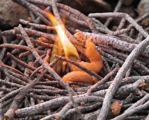 Think Outside the Tent! Smart Camping Essentials & Ideas!