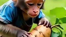 poor_baby_monkey,_hardworking_monkey🐵🐒__#videoshorts_#trending__#fypシ゚viral(360p)