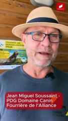 [GUADELOUPE] Une armée de chiens renifleurs pour sauver l'iguane endémique de l'invasion