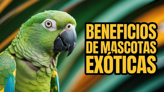 5 Beneficios OCULTOS de Tener Mascotas Exóticas (Que Nadie Te Cuenta)