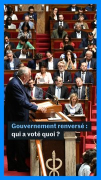 Renversement de François Bayrou : qui a voté quoi ?