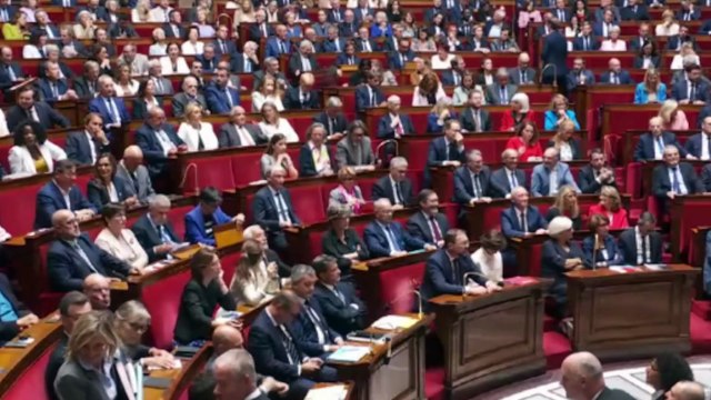 El Gobierno de Bayrou deberá dimitir tras perder la moción de confianza por 364 a 194 votos