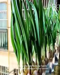 A glimpse into the world of natural farming! 💚