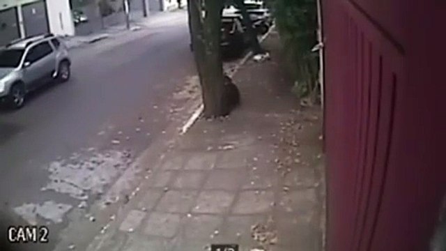 “Se gritar, vai morrer!”: idosa é sequestrada e vive 12 horas de terror nas mãos de bandidos